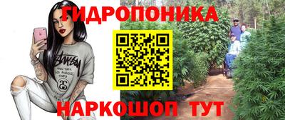 прущие грибы Заволжье
