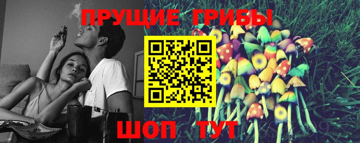 Псилоцибиновые грибы Psilocybine cubensis Ликино-Дулёво